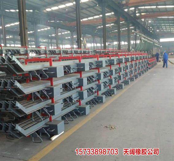 张家界d型各种功能桥梁伸缩缝 培养产品图片
