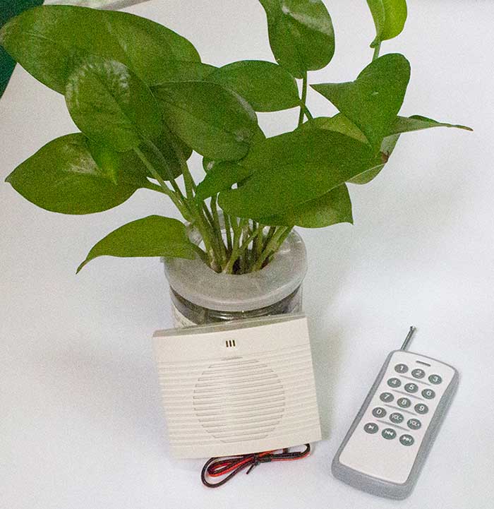 无线？毓婊