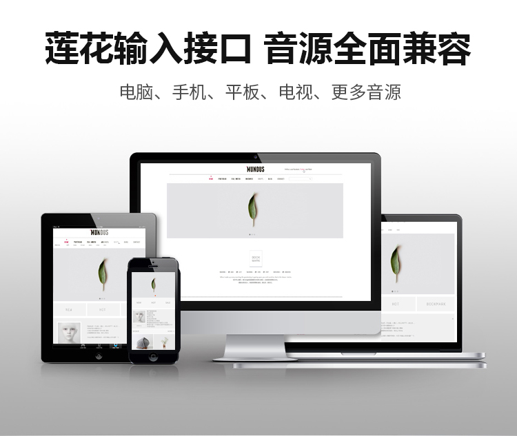 2.4G无线讲授音箱系列